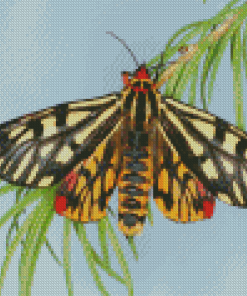 Tiger Moth Insect Diamond Painting