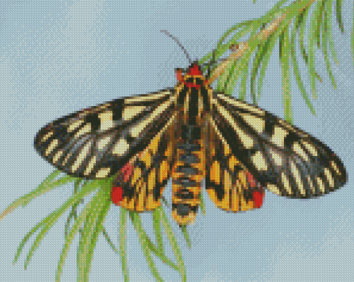 Tiger Moth Insect Diamond Painting