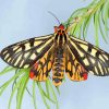 Tiger Moth Insect Diamond Painting