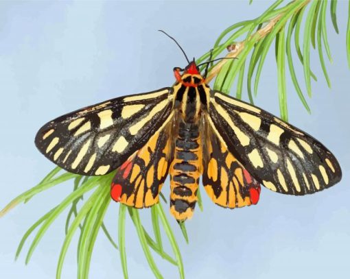 Tiger Moth Insect Diamond Painting