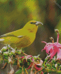 Yellow Hawaiian Honeycreeper Diamond Painting