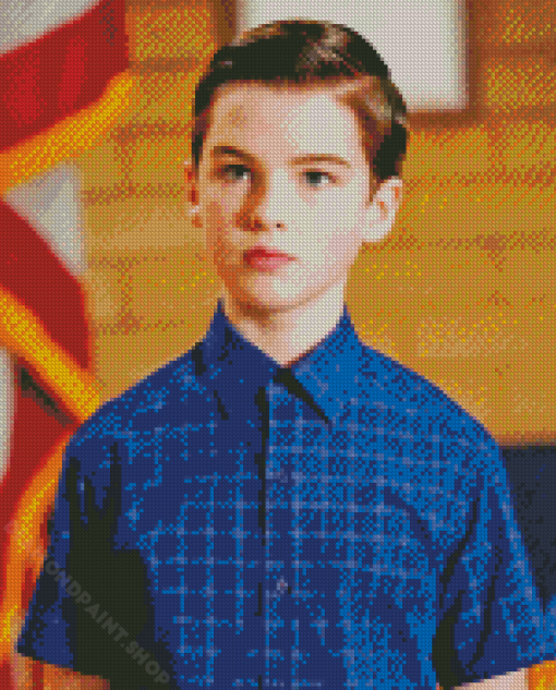 Young Sheldon Diamond Painting