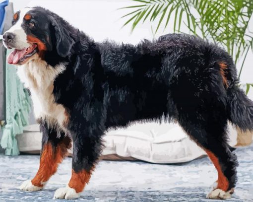 Bernese Mountain Dog Diamond Painting