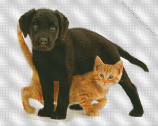 Lab And Cat Diamond Painting