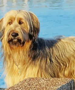 Blond Briard Dog Diamond Painting