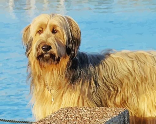 Blond Briard Dog Diamond Painting