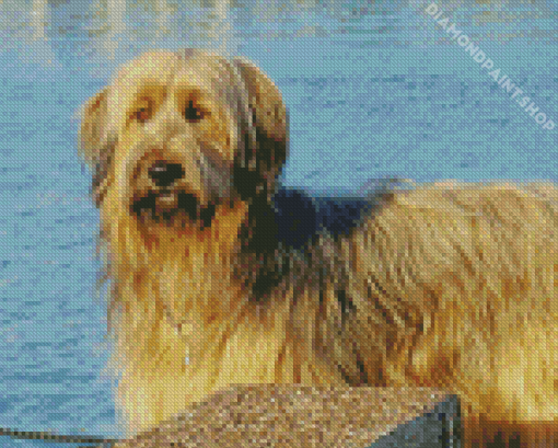 Blond Briard Dog Diamond Painting