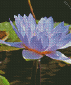 Blue Waterlily Diamond Painting