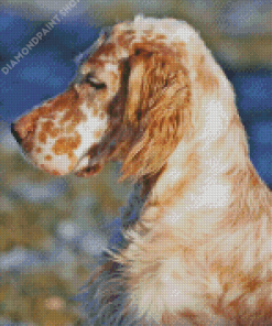 Caramel English Setter Diamond Painting