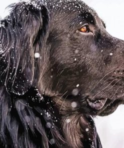 Close Up Black Golden Retriever In Snow Side View Diamond Painting