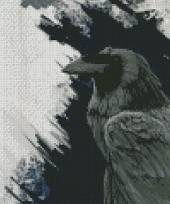 Common Raven Diamond Painting