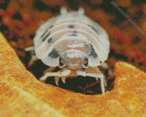 Isopod Face Diamond Painting