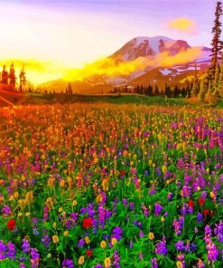 Meadow With Flowers With Sunrise Diamond Painting