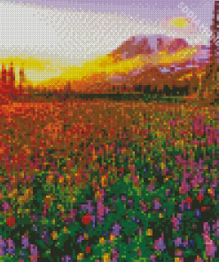 Meadow With Flowers With Sunrise Diamond Painting