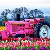 Pink Tractor In Flowers Field Diamond Painting