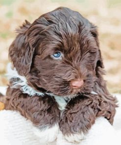 Portuguese Water Puppy Diamond Painting