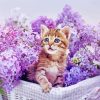 Purple Flowers Cat Diamond Painting