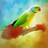 Red Neck Parrot Diamond Painting