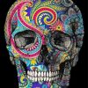 The Mandala Skull Diamond Painting