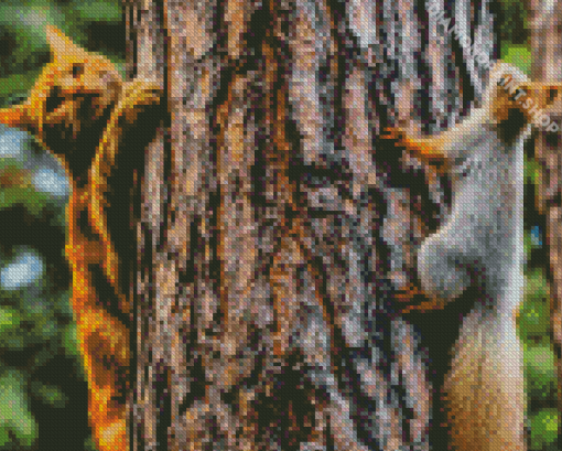 Cat And Squirrel Holding A Tree With Diamond Painting