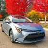 Grey Corolla Diamond Painting