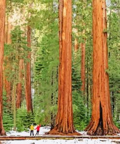 Sequoia National Forest Diamond Painting