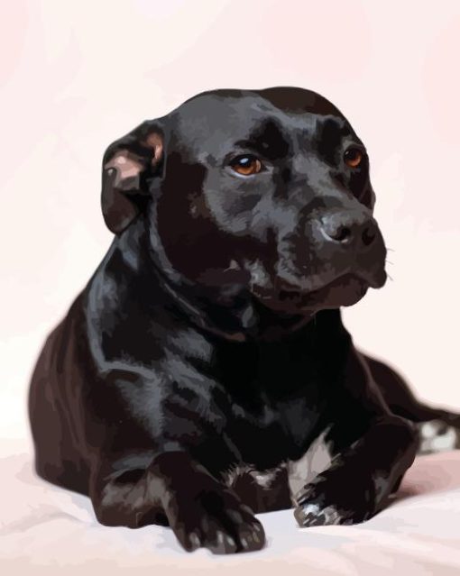 Staffordshire Bull Terrier Dogs Diamond Painting