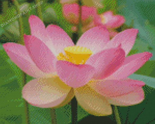 Pink Lotus Flower Nelumbo Nucifera Diamond Painting