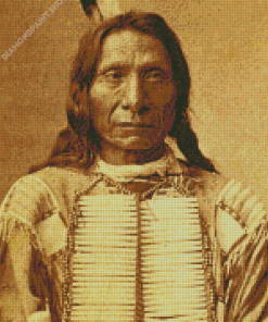 The Indian Chief Red Cloud Diamond Painting