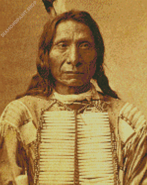 The Indian Chief Red Cloud Diamond Painting