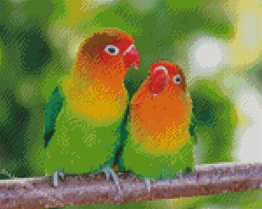 Cute Agapornis Diamond Painting