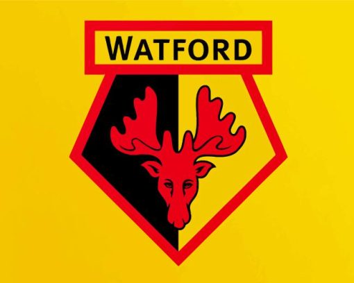 Watford FC Diamond Painting