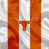 Texas Longhorn Flag Diamond Painting