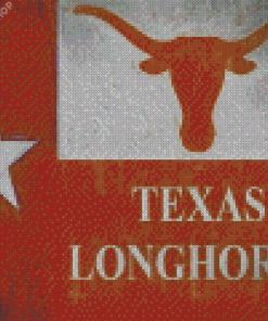 Texas Longhorn Flag Art Diamond Painting