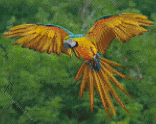 Flying Macaw Diamond Painting