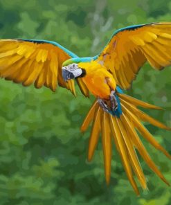 Flying Macaw Diamond Painting