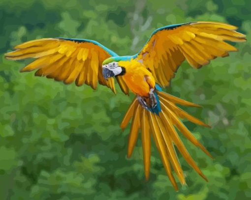 Flying Macaw Diamond Painting