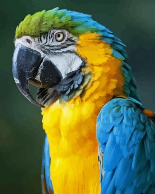 Blue And Gold Macaw Parrot Diamond Painting