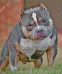 American Bully Dog Diamond Painting