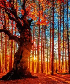 Autumn Sunset Trees Diamond Painting