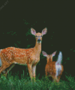 Deer And Green Forest Diamond Painting