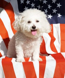 Dog With American Flag Diamond Painting