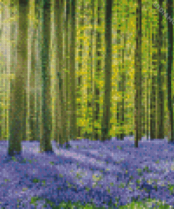 Forest Bluebell Meadow Diamond Painting