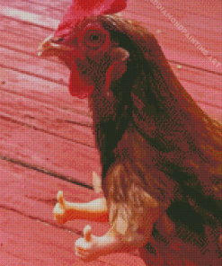 Funny Chicken With Arms Diamond Painting