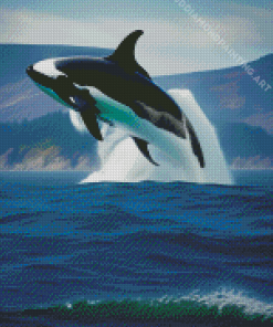 Killer Whale Diamond Painting