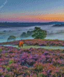 New Forest National Park Diamond Painting