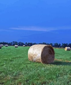 Round Hay Bales In Field Diamond Painting