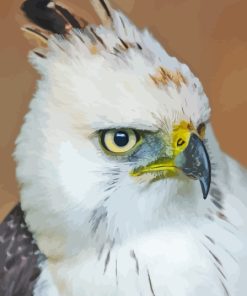 White Hawk Eagle Diamond Painting