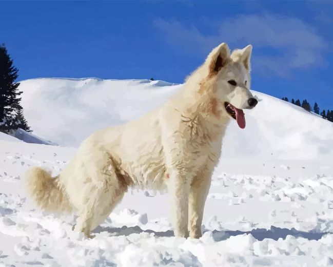 American white shepherd in snow Diamond By Numbers American White Shepherd In Snow Diamond Painting