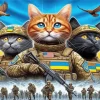 Army Cat Diamond Painting